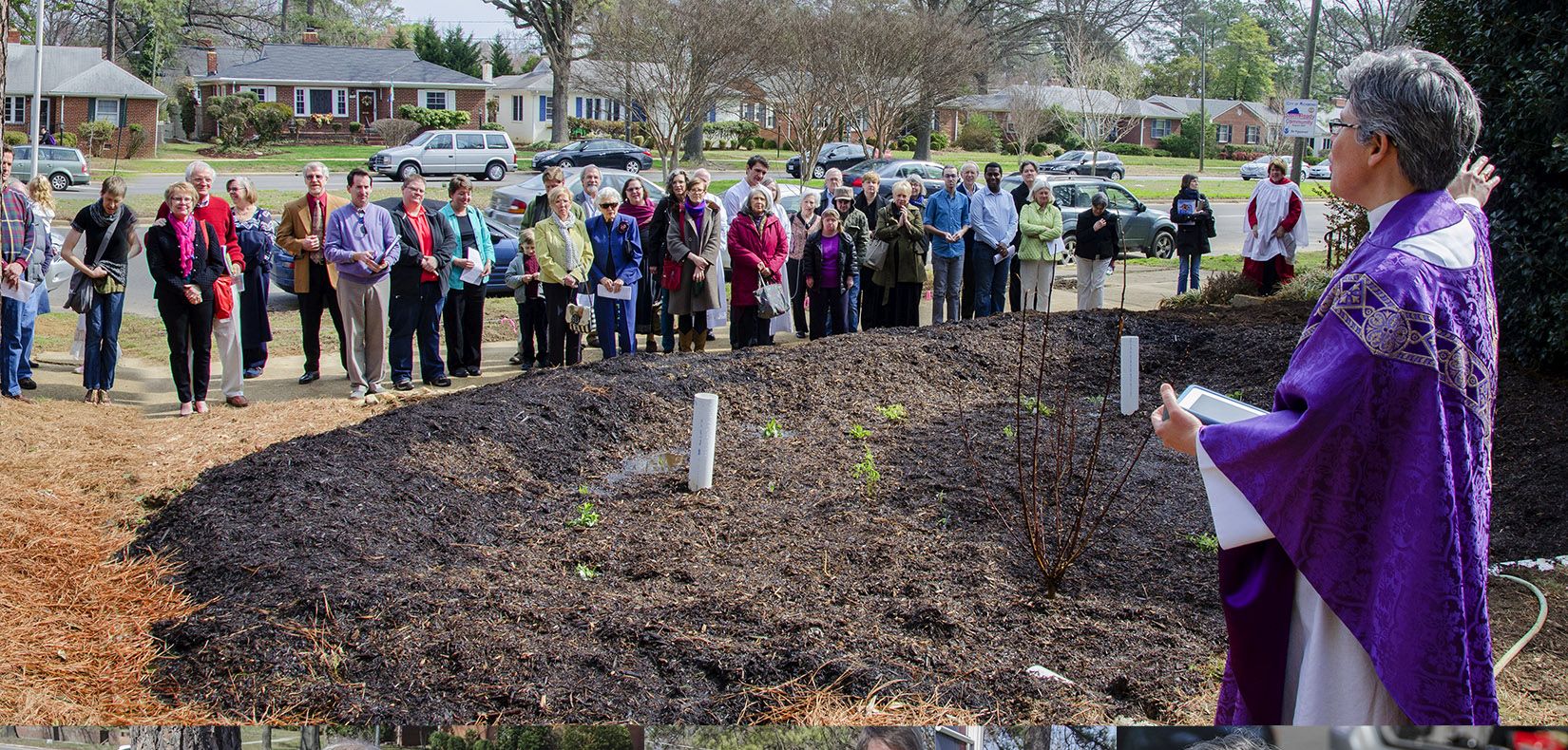 Rain Garden